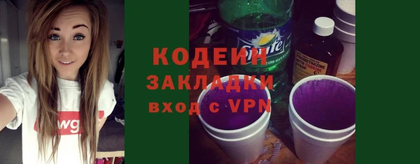 сатива Сатка