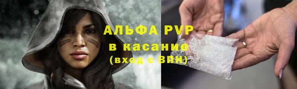 Альфа ПВП Аркадак