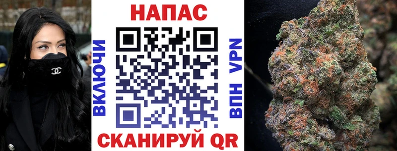 Шишки марихуана план  Удачный 
